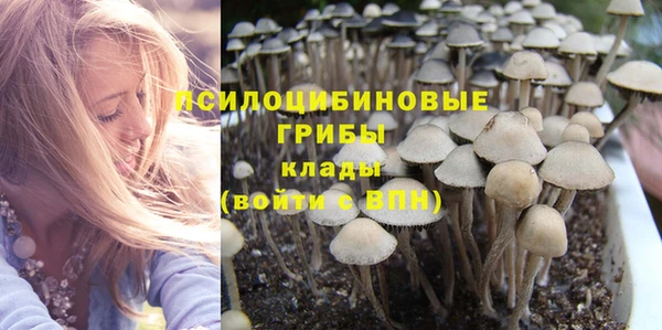 тгк Аркадак