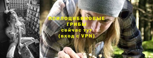 СК Арсеньев