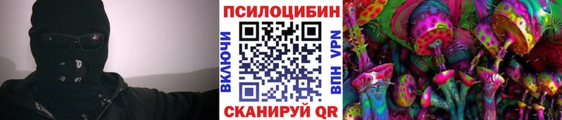 Псилоцибиновые грибы Cubensis цены наркотик Сосновый Бор
