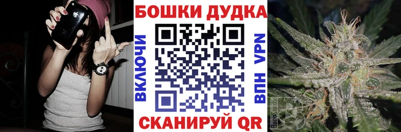 Каннабис план  Сосновый Бор 